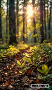 Писатели- сибиряки