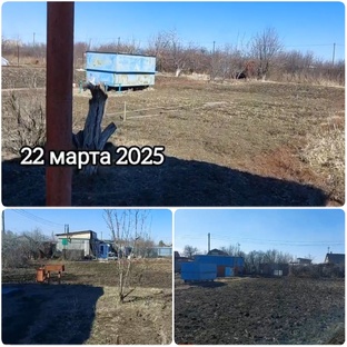 ДАЧА 2025
