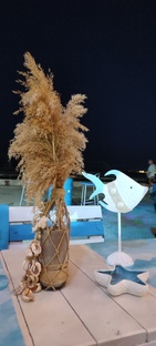 Кисловодский Дельфинарий