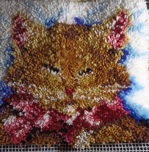 спящий котик