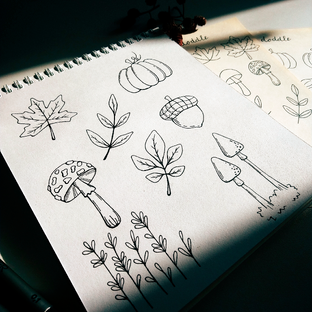 Лёгкие рисунки для срисовки поэтапно