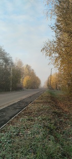 Деревенские будни