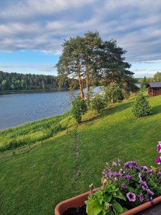 Жизненные истории