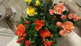 Дача, огород