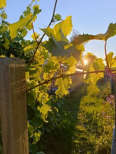 Путешествия, театры и кино