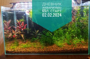 Дневник аквариума