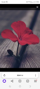 Просыпайся, князь