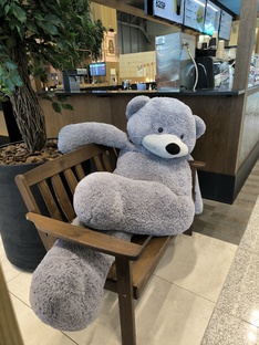 Путешествия