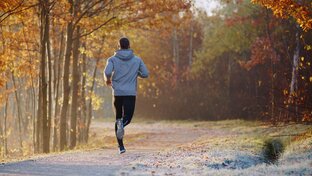 Здоровье человека