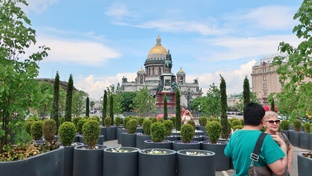 Петербург 2024 и ранее.