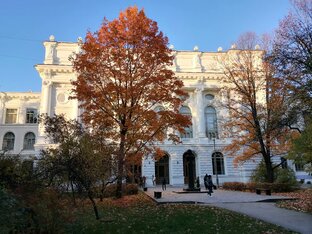Поступление 2020