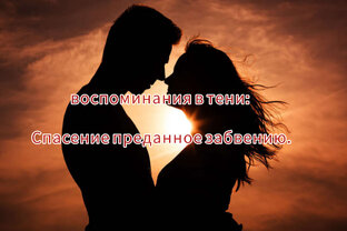 Воспоминания в тени: Спасение преданное забвению.