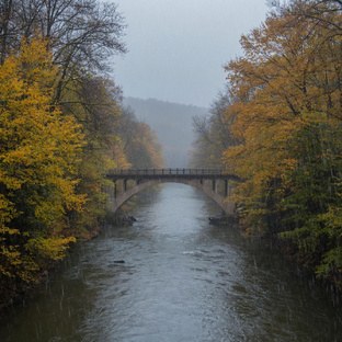 Поматросила и отбросила