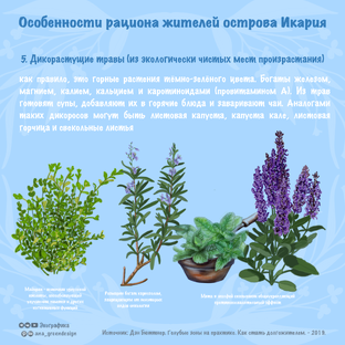 Здоровый образ жизни