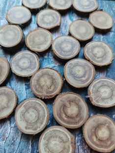 Спилы из дерева