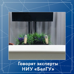 Говорят эксперты НИУ "БелГУ"