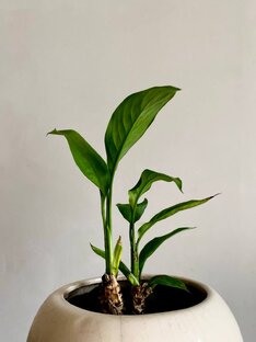 Короткие рассказы