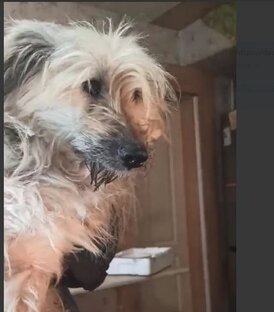 Те, кому нужен дом.