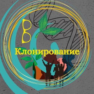 Клонирование.