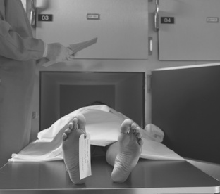 ИСТОРИИ из МОРГА