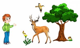 Живая природа..