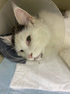 Ваша помощь важна!