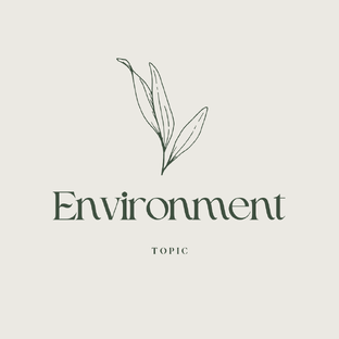 Тема Environment для ЕГЭ по английскому 2026