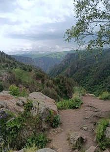 Звуки природы. Релакс.