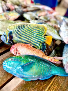 Сейшелы 🇸🇨 