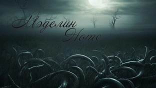 Стихи
