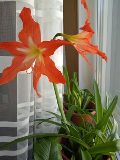 Обо всем понемногу.