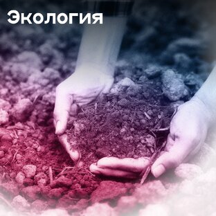 Экология