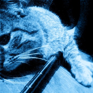 Для ПОДПИСЧИКОВ