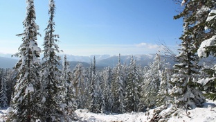 Хамар Дабан