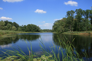 Рыбалка на дикарях