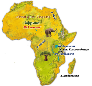 Животные Африки (охотники) сезон 1.