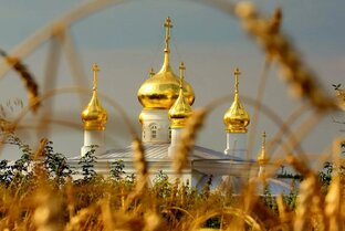 Жизнь моя вне огорода 