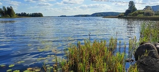 Природа Селигера 
