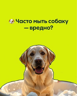 ШАМПУНЬ ДЛЯ ВАШЕГО ПИТОМЦА