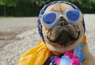 ПРИКОЛЬНОЕ