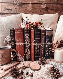 книжные подборки