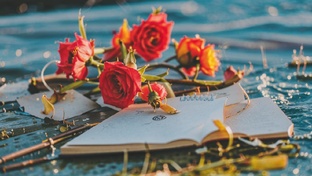 Новости, объявления