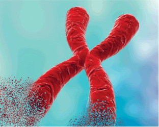 Репродуктивная медицина 