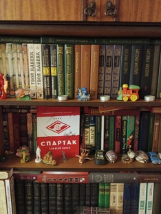 Книжная полка 