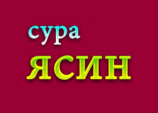 Сура «Ясин» (Ясин)