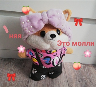 ♥︎Молли♥