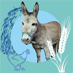 Сельхоз блок