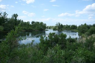 Реки и речушки