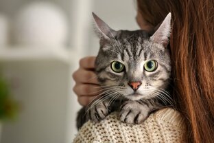 Лайфхаки и советы 
