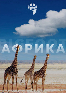 Новогодний тур в Африку!